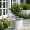 Heavy Duty Corten Steel Round Raised Garden Bed Kit – 15.5" Dia. x 20" H. – Pre-Rusted Metal Planter Box for Vegetables, Flowers, Herbs – White – Idea